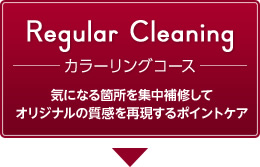 Regular Cleaning　カラーリングコース
