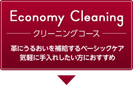 Economy Cleaning　クリーニングコース