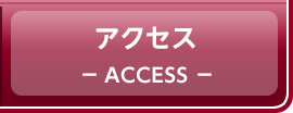 アクセス ACCESS